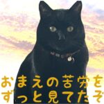 HOTOKE