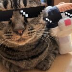 kusaneko_JPN